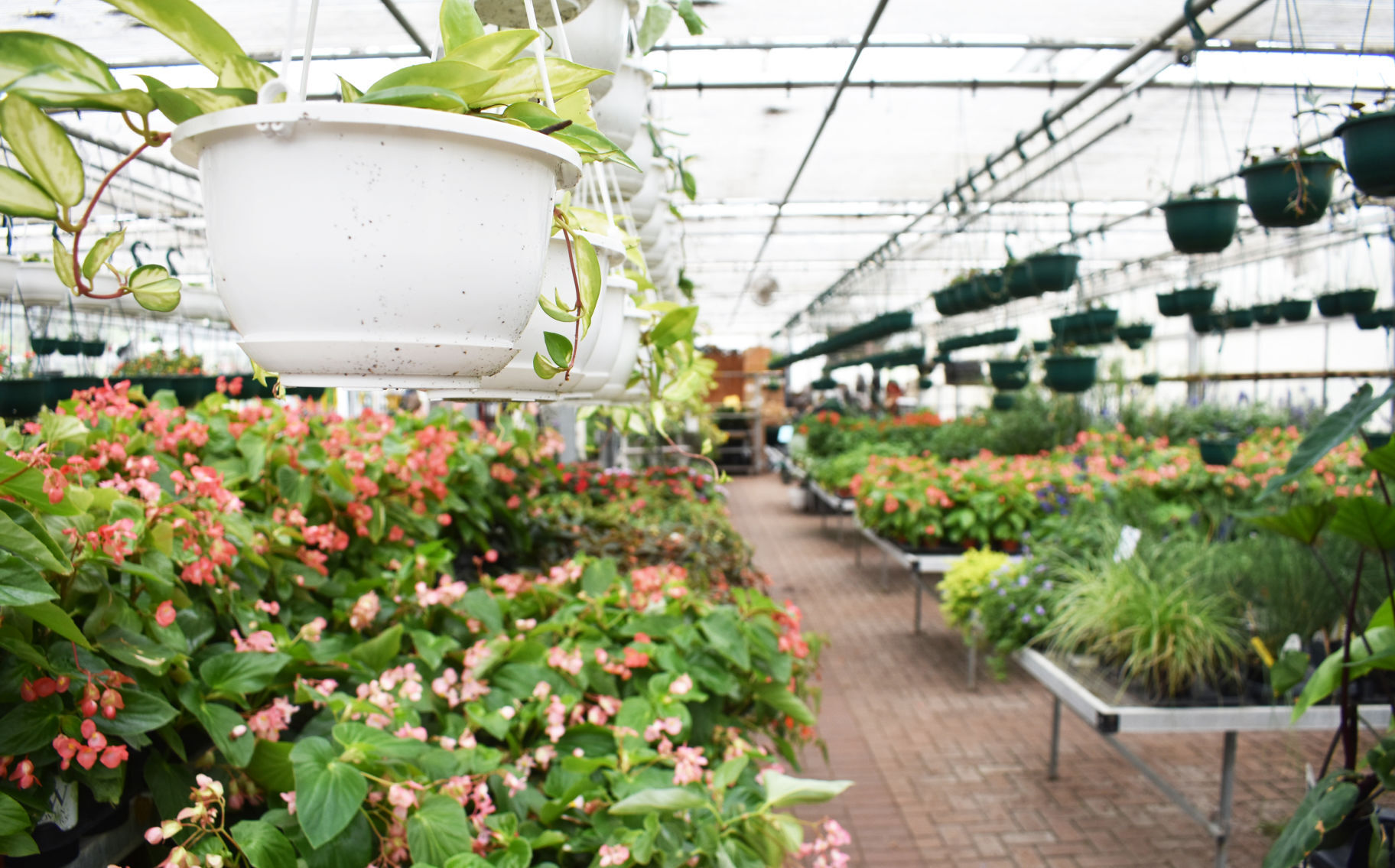 Traverse des Sioux Garden Center